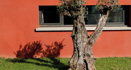 Réalisations CV Architecture