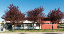 Réalisations CV Architecture