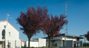 Réalisations CV Architecture